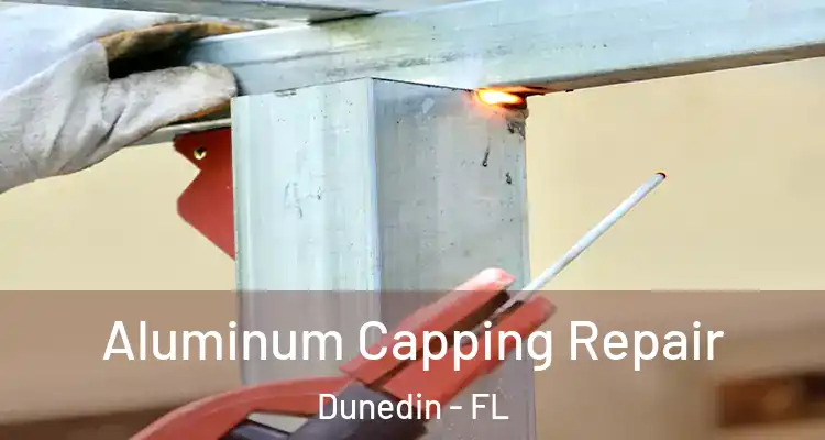 Aluminum Capping Repair Dunedin - FL