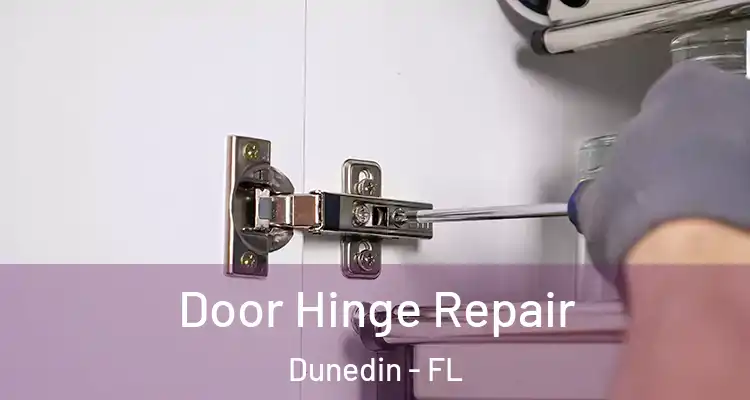 Door Hinge Repair Dunedin - FL
