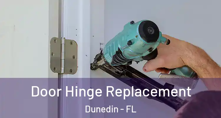  Door Hinge Replacement Dunedin - FL