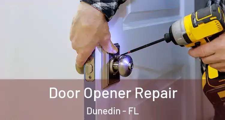 Door Opener Repair Dunedin - FL