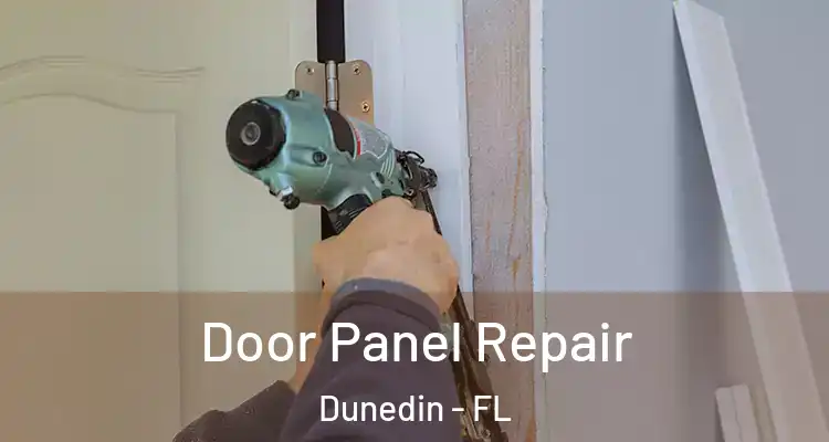  Door Panel Repair Dunedin - FL