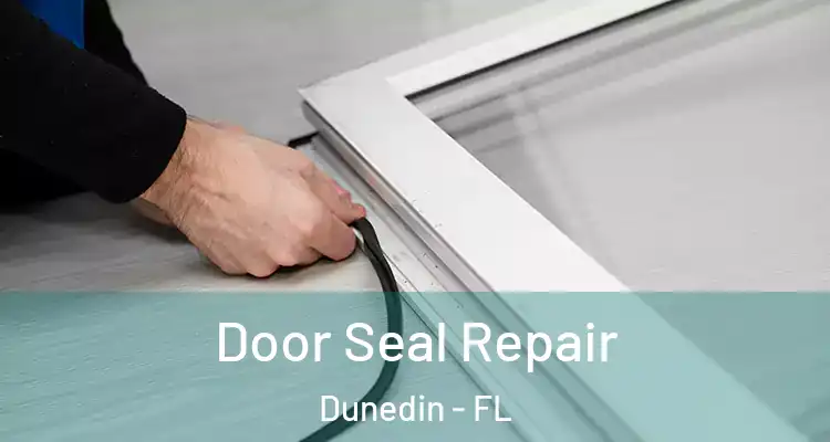 Door Seal Repair Dunedin - FL