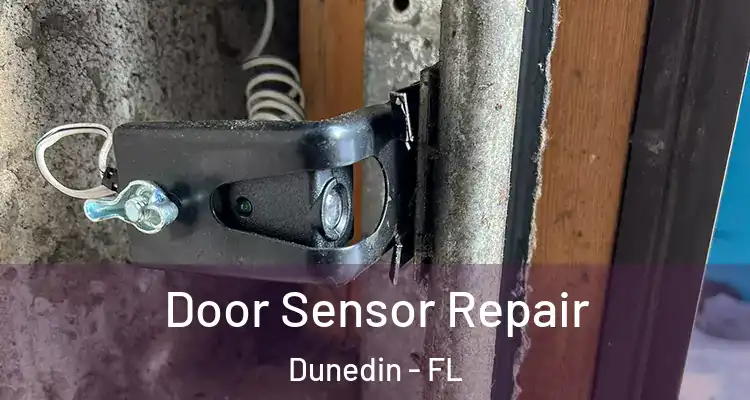  Door Sensor Repair Dunedin - FL