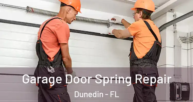 Garage Door Spring Repair Dunedin - FL