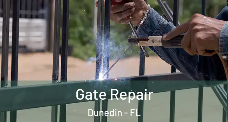 Gate Repair Dunedin - FL