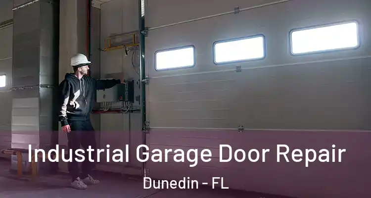  Industrial Garage Door Repair Dunedin - FL
