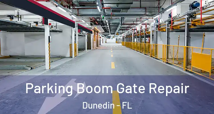 Parking Boom Gate Repair Dunedin - FL
