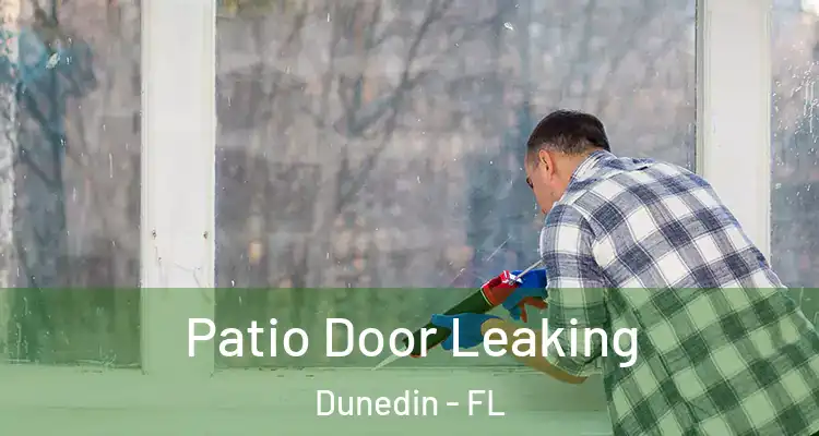  Patio Door Leaking Dunedin - FL