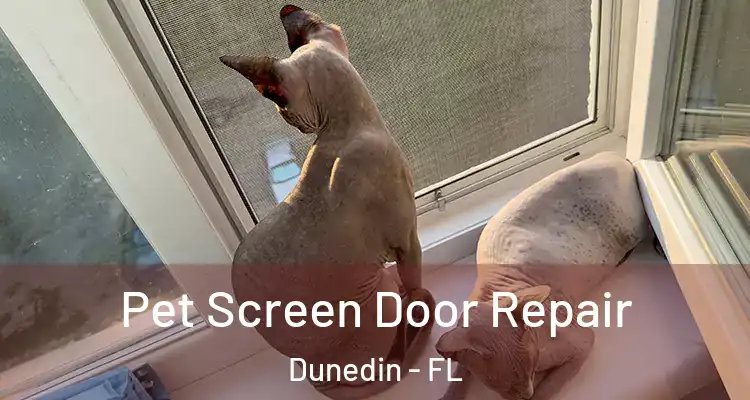  Pet Screen Door Repair Dunedin - FL
