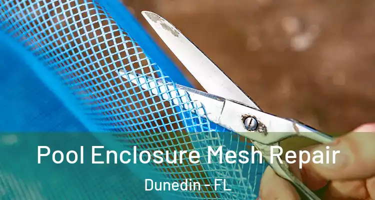 Pool Enclosure Mesh Repair Dunedin - FL