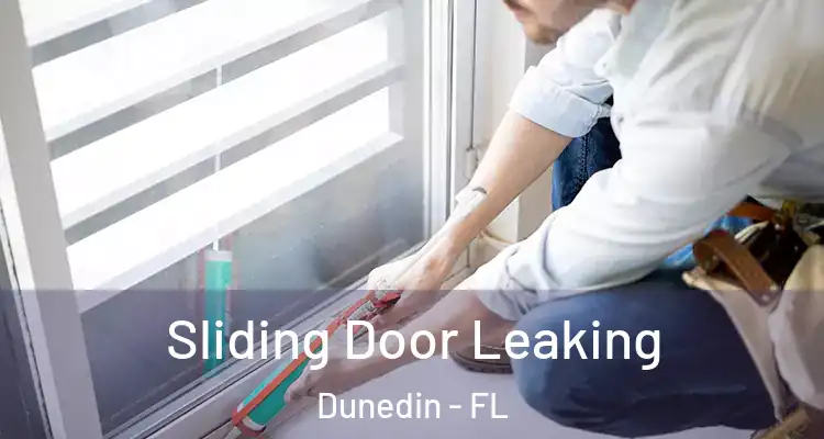  Sliding Door Leaking Dunedin - FL