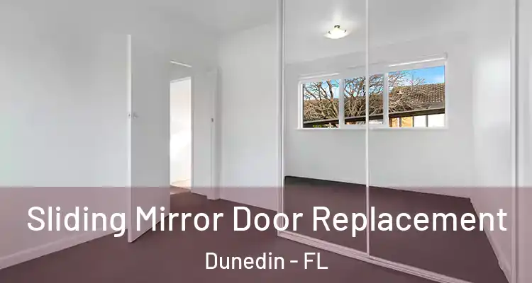  Sliding Mirror Door Replacement Dunedin - FL