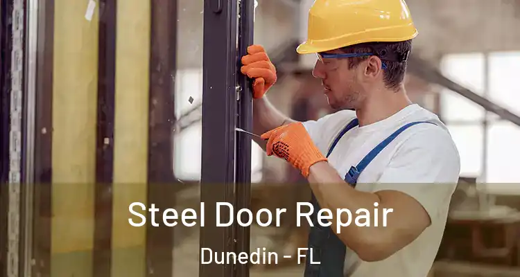  Steel Door Repair Dunedin - FL