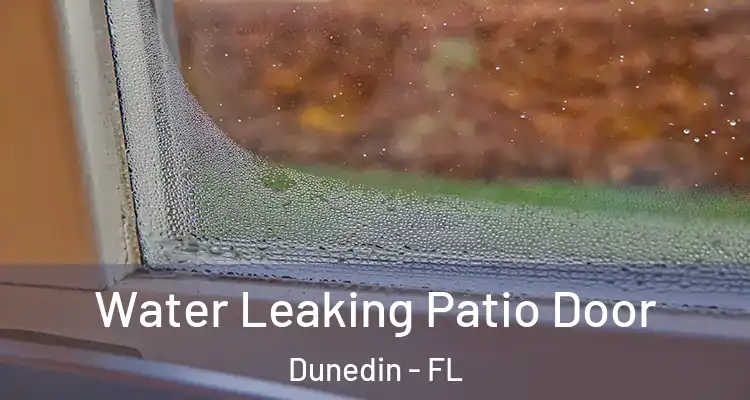 Water Leaking Patio Door Dunedin - FL