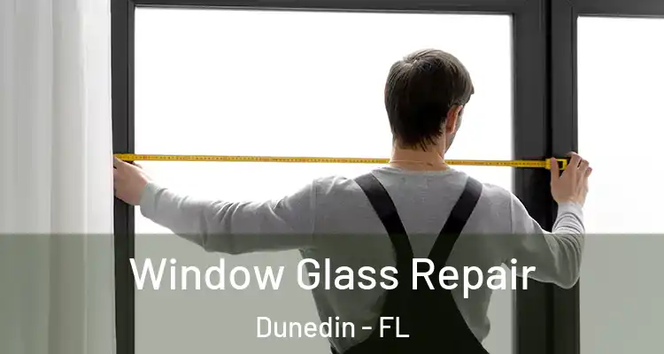 Window Glass Repair Dunedin - FL